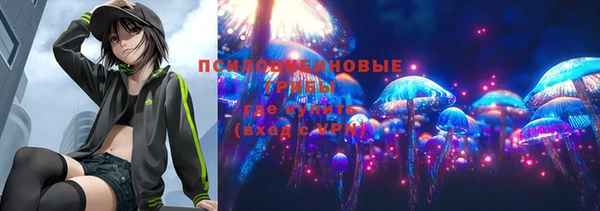 индика Нефтекумск