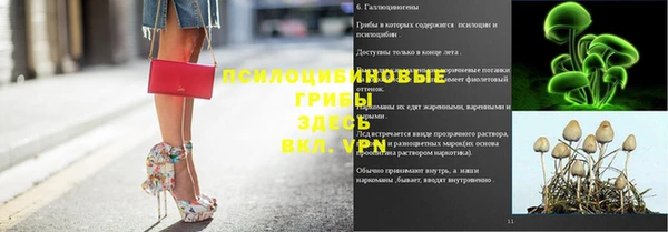 гидропоника Новозыбков