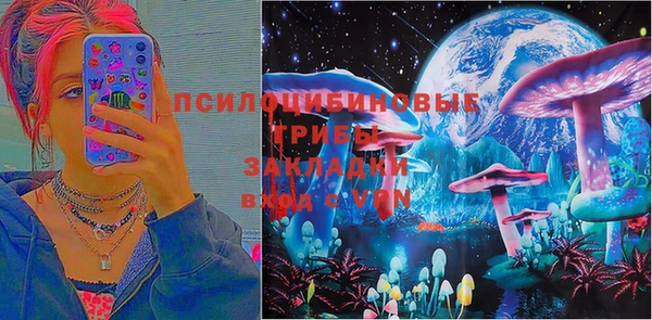 индика Нефтекумск