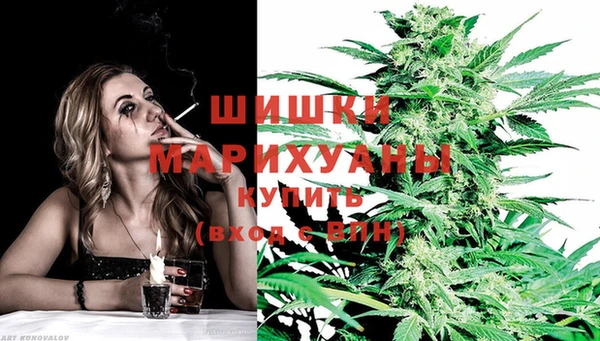 гидропоника Новозыбков