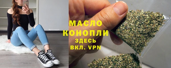 индика Нефтекумск