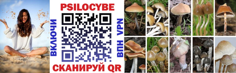 Псилоцибиновые грибы мухоморы  Кондрово 